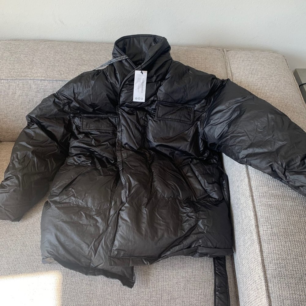 Black Belted Puffer